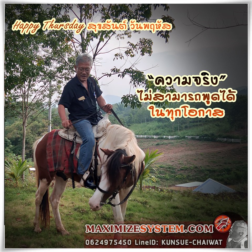 CHAIWATcoaching's tweet image. สวัสดีวันพฤหัส...
งานดี เงินดี สุขภาพดี สดใส ๆ นะครับ

#RESPONSIVEwebDESIGN
#RESPONSIVEandPARALLAXweb
#ChaiwatMaximize
#MODERNweb
#MaximizeSystem

#สร้างเว็บไซต์ให้ธุรกิจ ด้วยตัวคุณเองแบบง่ายๆ เลือกแพคเกจของคุณ...

● WEBSITE : MAXIMIZEsystem.com

- bit.ly/34sEhJH