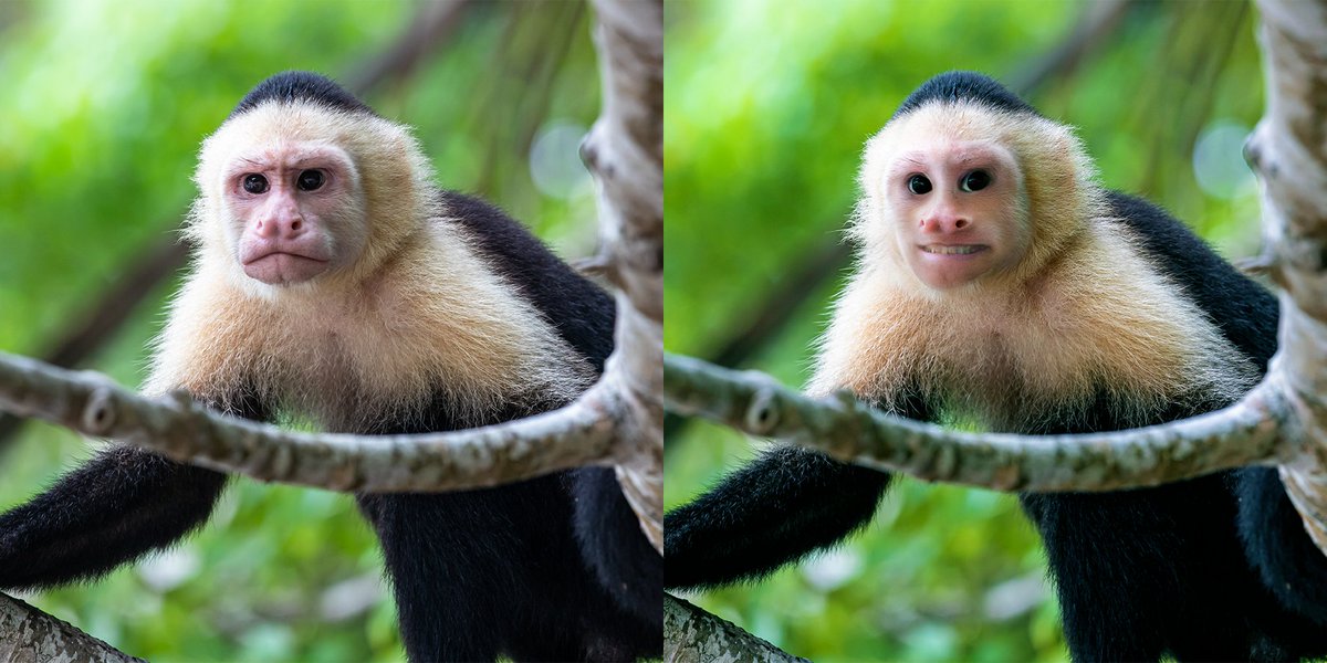 _hnk_w_ca's tweet image. “How it started.” — “How it’s going.”
 #NeuralFilter Edition 

#smartportrait #photoshop #unsplash