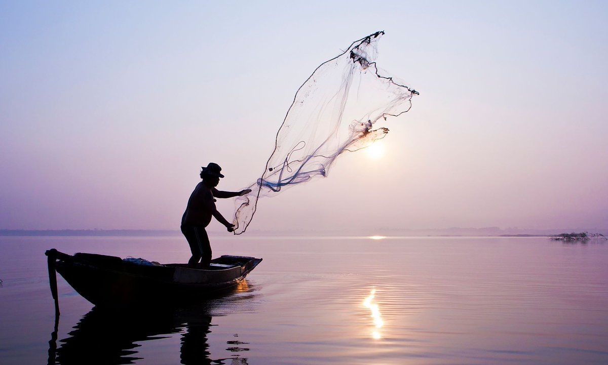 sandbridgeblue's tweet photo. Prefer to catch and cook your own seafood dinner? We've got you covered with this article!
https://t.co/bHQMP59Z28
#sandbridgeblue #sandbridge #sandbridgeva #sandbridgebeach #travel #traveltips #fishing #seafood https://t.co/RmHeeKLuoZ