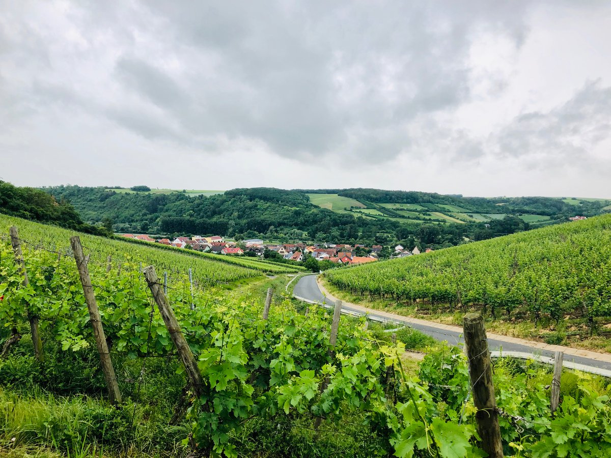 deutsche_kueche's tweet photo. When we are talking about #culinary excellence, we have to include the #GermanWine. We toured the #DeutscheWeinstrasse last summer, and had #winetastings at many #vineyards along the #Rhein #Mosel, and #Pfalz. #GermanFood #GermanCooking #Deutsche_Kueche https://t.co/zihB0UQK1j