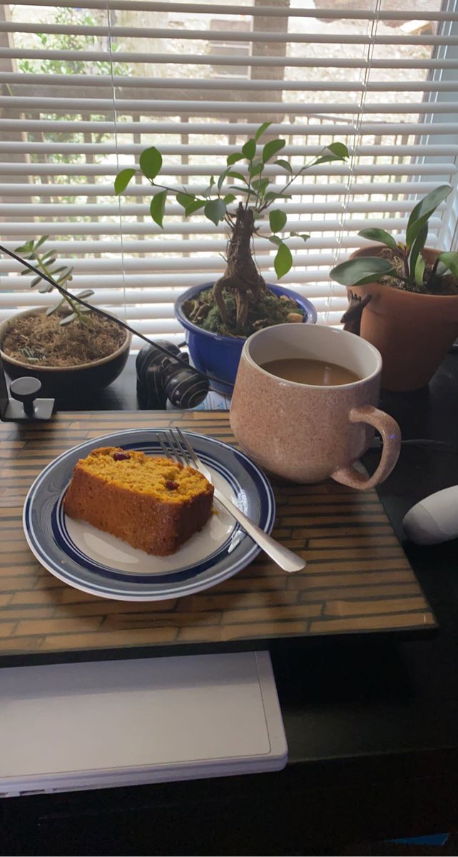 itaaronchasteen's tweet image. Anyone want to get married? I’m not necessarily a bread winner but I am a bread baker. 🧑🏼‍🍳🍞🤷🏼‍♂️ 

#pumpkinbread #BreadForThePeople #BakingInSpace