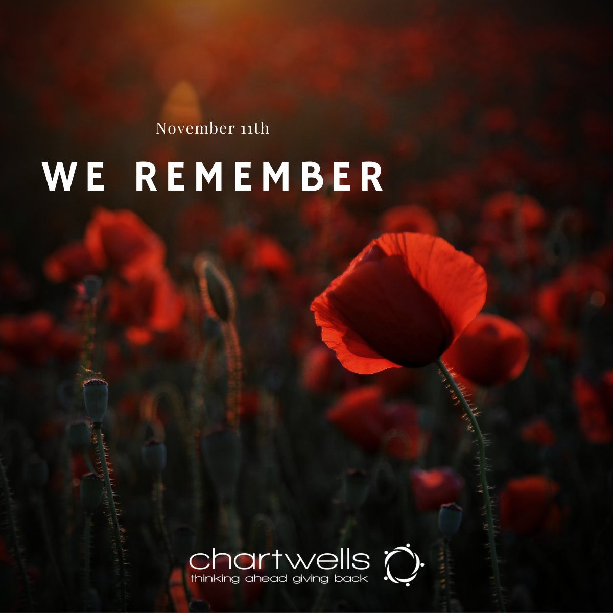 Today, we remember every Canadian who sacrificed so much for generations beyond their own. Lest we forget.

#RemembranceDay #weremember #lestweforget