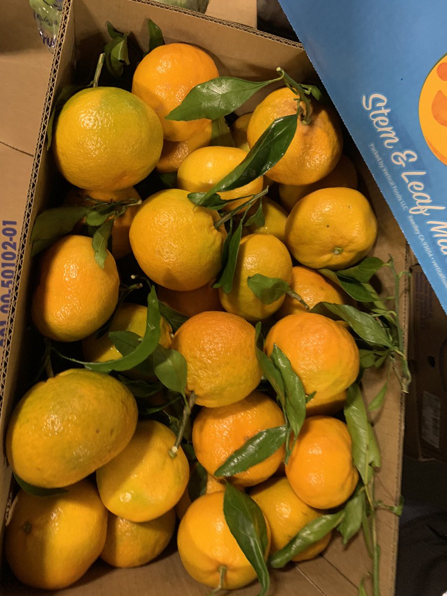 Blue Jay California Seedless Satsuma Mandarins satsumamandarin - Twitter Search / Twitter