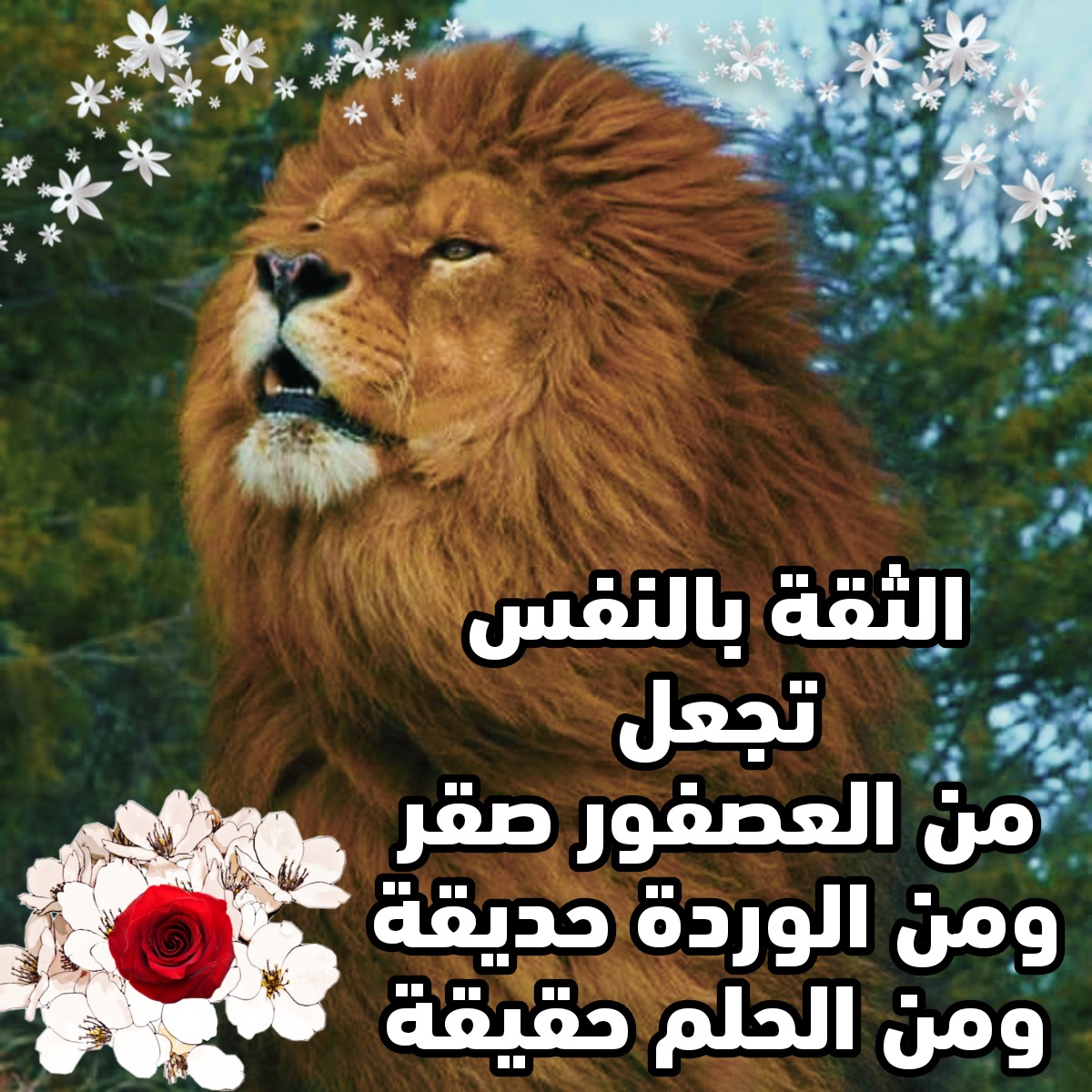 am272z's tweet photo. https://t.co/qHVPawDZwy