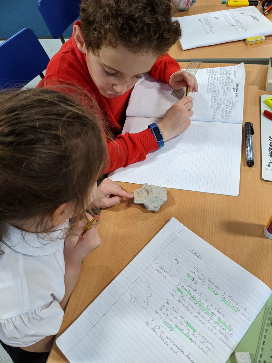 DringhousesPS's tweet photo. Class 9 enjoyed observing real fossils in science. We sketched them, described what they looked like and tried to predict what they might have been or what they might have looked like when they were alive. Here are some pictures of our fantastic work. #DringScience https://t.co/BDdvhN5Rvs