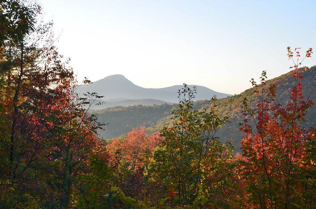 Friction Labs tweet media