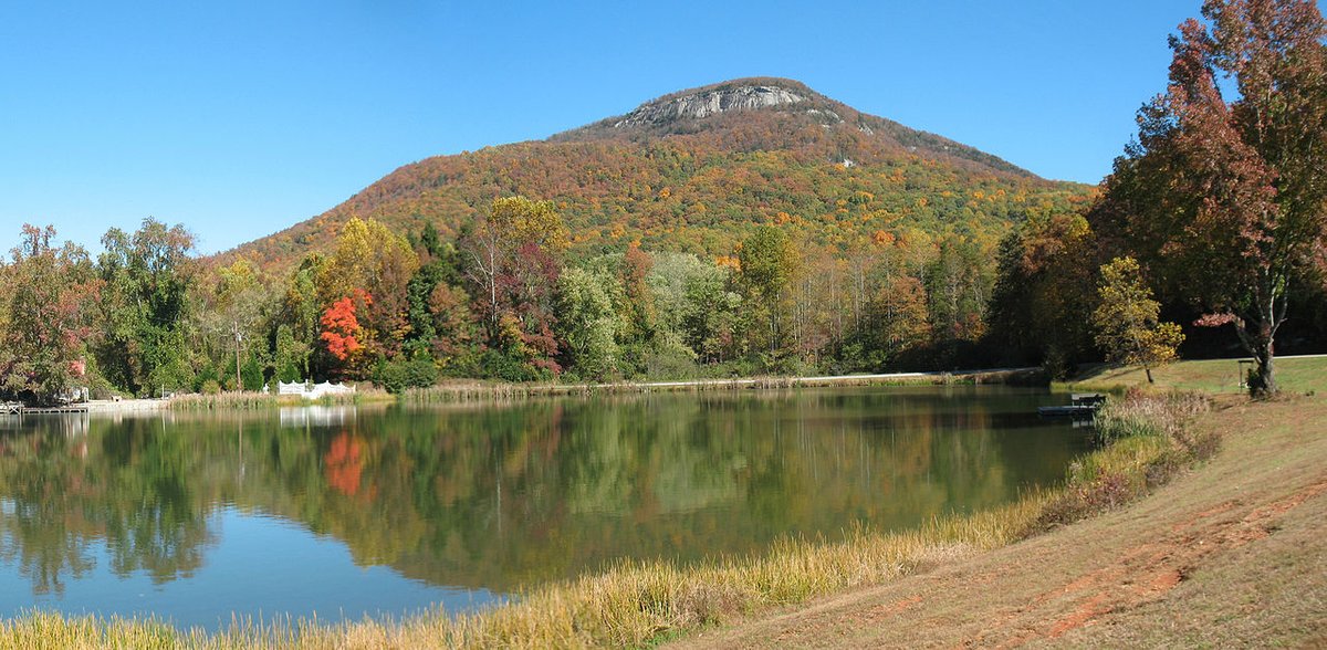 Friction Labs tweet media