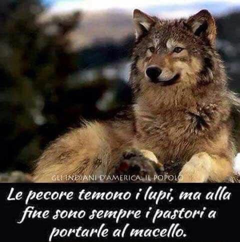 Claudio Marconi tweet media
