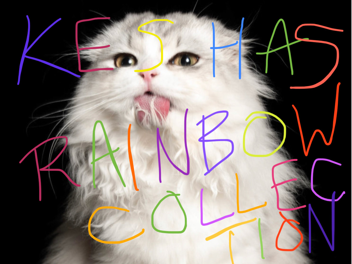 KeshasRainbowCollection tweet media