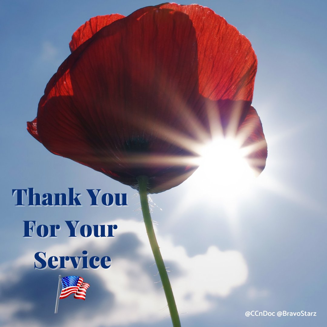 CoE2Go's tweet photo. #VeteransDay2020 🇺🇸 Thank you for your service! 🇺🇸
#PoppiesForVeterans #InFlandersFields https://t.co/bVkPvWWgtY