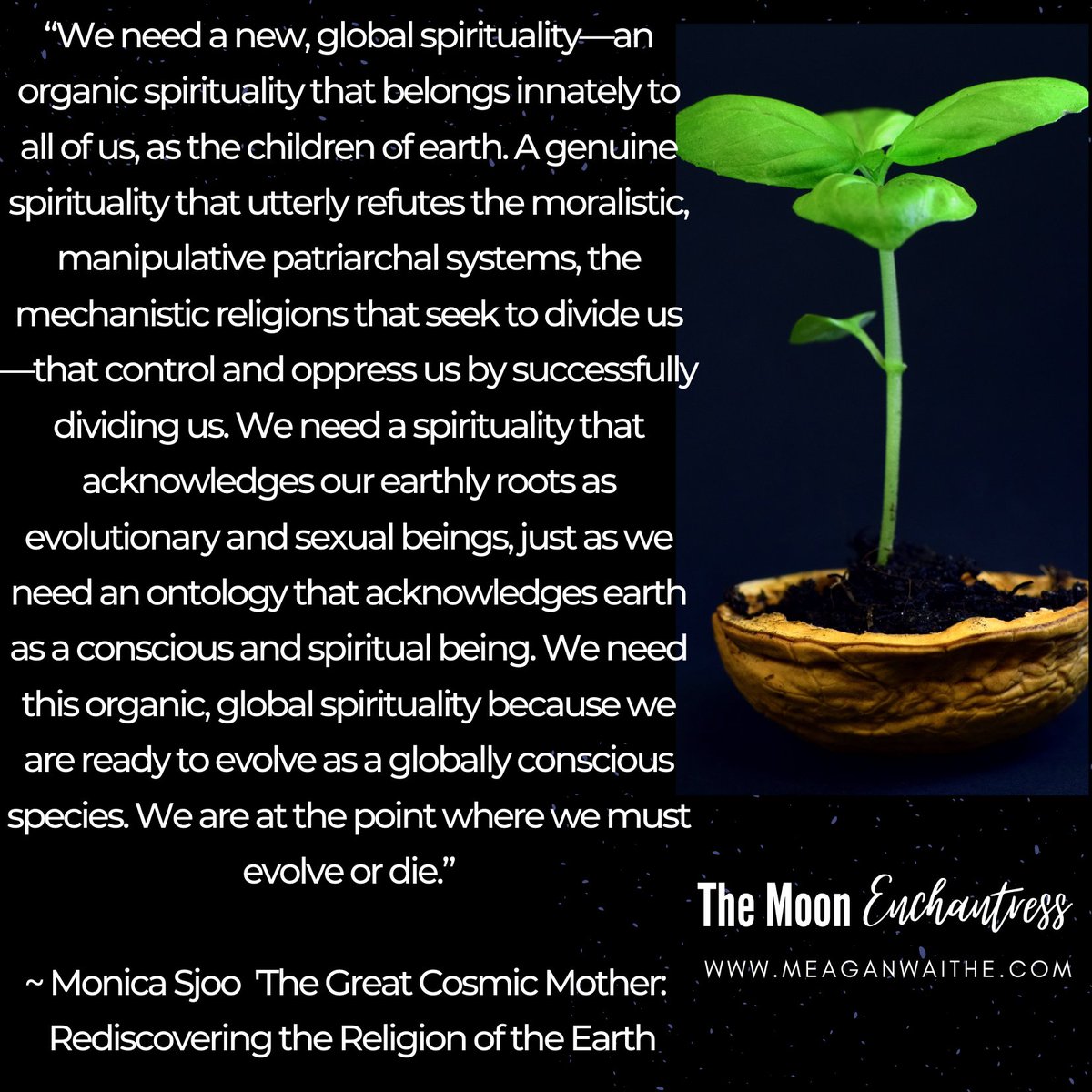 themoonenchant's tweet photo. The dark before dawn. The fire before new growth.  

Let's stop sharing the toxicity and look for the love instead.  Let's SHARE POSITIVELY. 

This video is from June 2020 - but still relevant 
https://t.co/LWSbY1sLq2

#themoonenchantress
#themoonenchant
#sharepositively https://t.co/8Z5V1rydBX