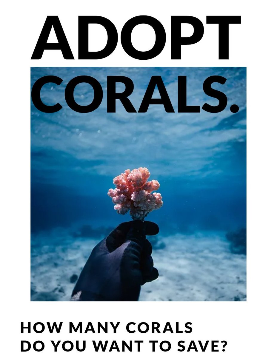 EvrnmtCaringPpl's tweet photo. Will you adopt an ocean's lung? #coralgardeners #moorea https://t.co/tdy7E3ujE8 https://t.co/bBbt6p9aTW