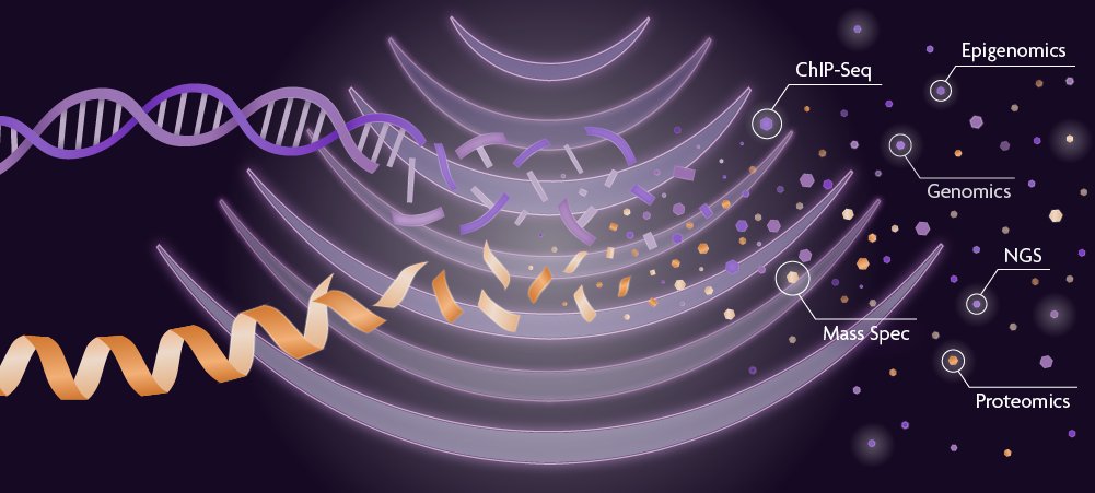 activemotif's tweet photo. Without consistent sonication, nothing else matters. Upgrade to PIXUL™ to achieve truly reproducible shearing of #chromatin, #DNA, #RNA, and #protein! Learn more: https://t.co/7cQCI5cjON #epigenetics #sonicator #sonication https://t.co/r1Qt2EXrwC