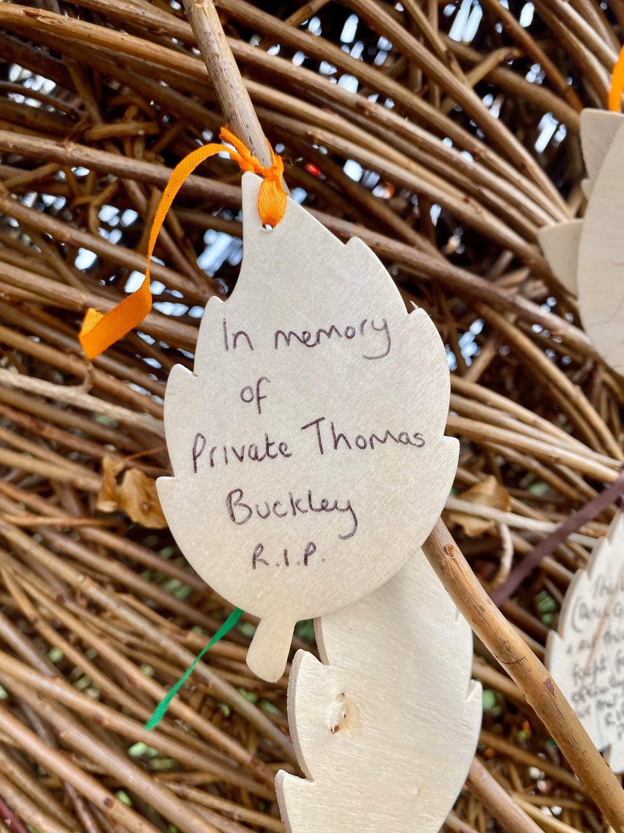 beckygilmore70's tweet photo. I was honoured to observe #ArmisticeDay today at the wonderful @WoodlandTrust #regimentoftrees. Remembering my great grandfather Private Thoma Buckley, died at Flanders 16th May 1916 aged 29 https://t.co/jXowPH3s1R