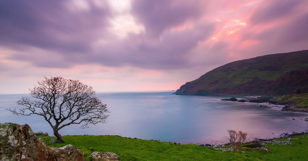 _ActualAli's tweet photo. Some more pastel colours at Murlough Bay 😊
#Landscape #Photography #landscapephotography #Ireland #northernireland #leefilters #longexposure #sea #ocean #pastel #pinkskies #goldenhour #thefullirish_ #pictureireland #discoverireland #daily_ireland … https://t.co/HF9F04UDSS https://t.co/BX9651m2Mo