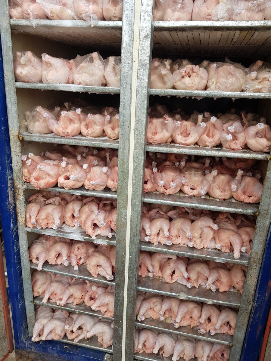dofoodsng's tweet photo. 500kg of Frozen Chicken available for sale.

Price: 1300 per Kg

Location: Ibadan

Call: 07010828772

Please RT https://t.co/a4dcGnTjc1