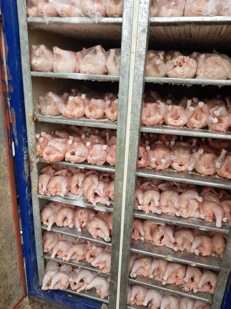 dofoodsng's tweet photo. 500kg of Frozen Chicken available for sale.

Price: 1300 per Kg

Location: Ibadan

Call: 07010828772

Please RT https://t.co/a4dcGnTjc1