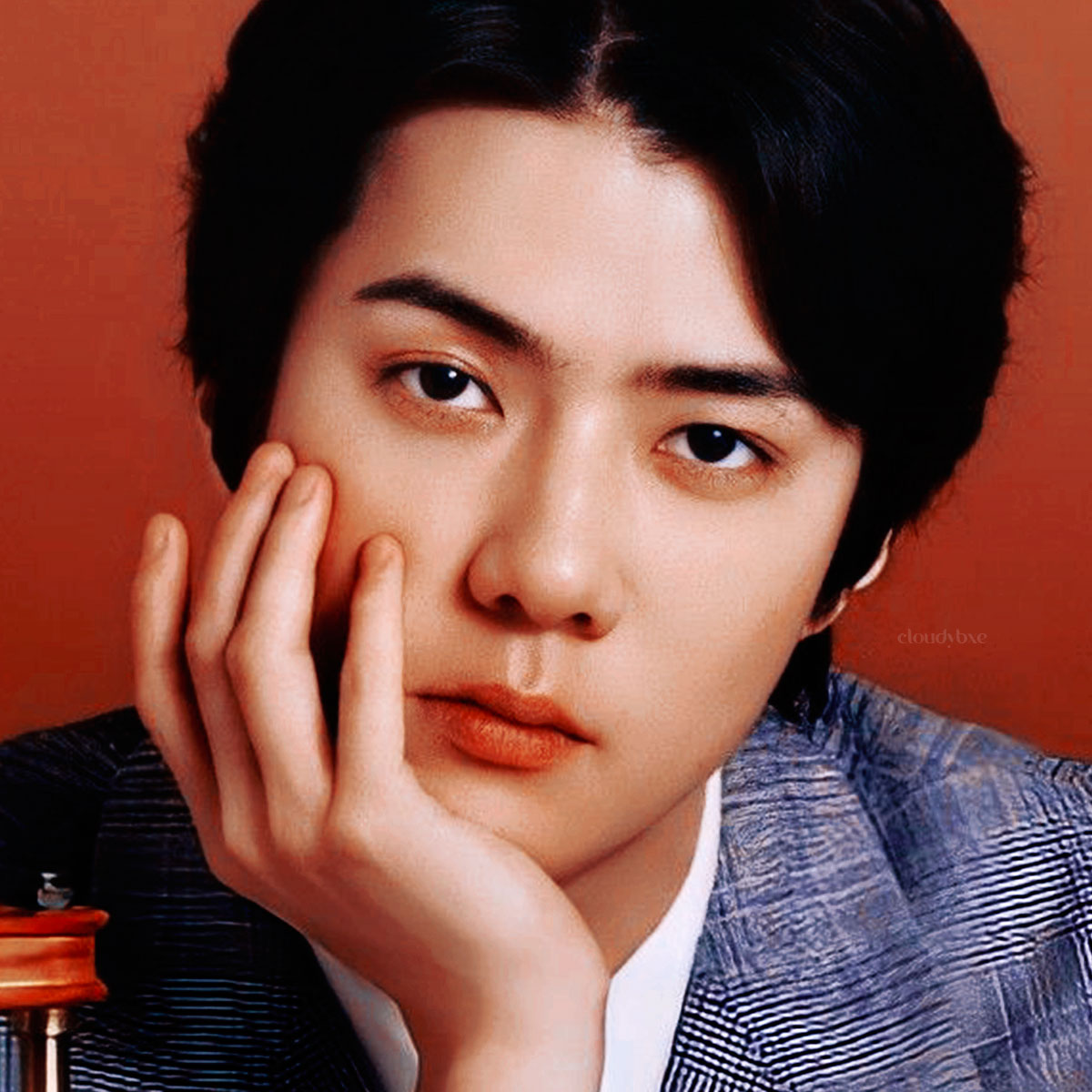 cloudybxeg's tweet photo. β¨ πππππ πππ ππππππ'π¬ πππππππππ 2021 | SEHUN
@weareoneEXO #EXO #SEHUN
#EXOicons #icons https://t.co/aD9zZ6fszl