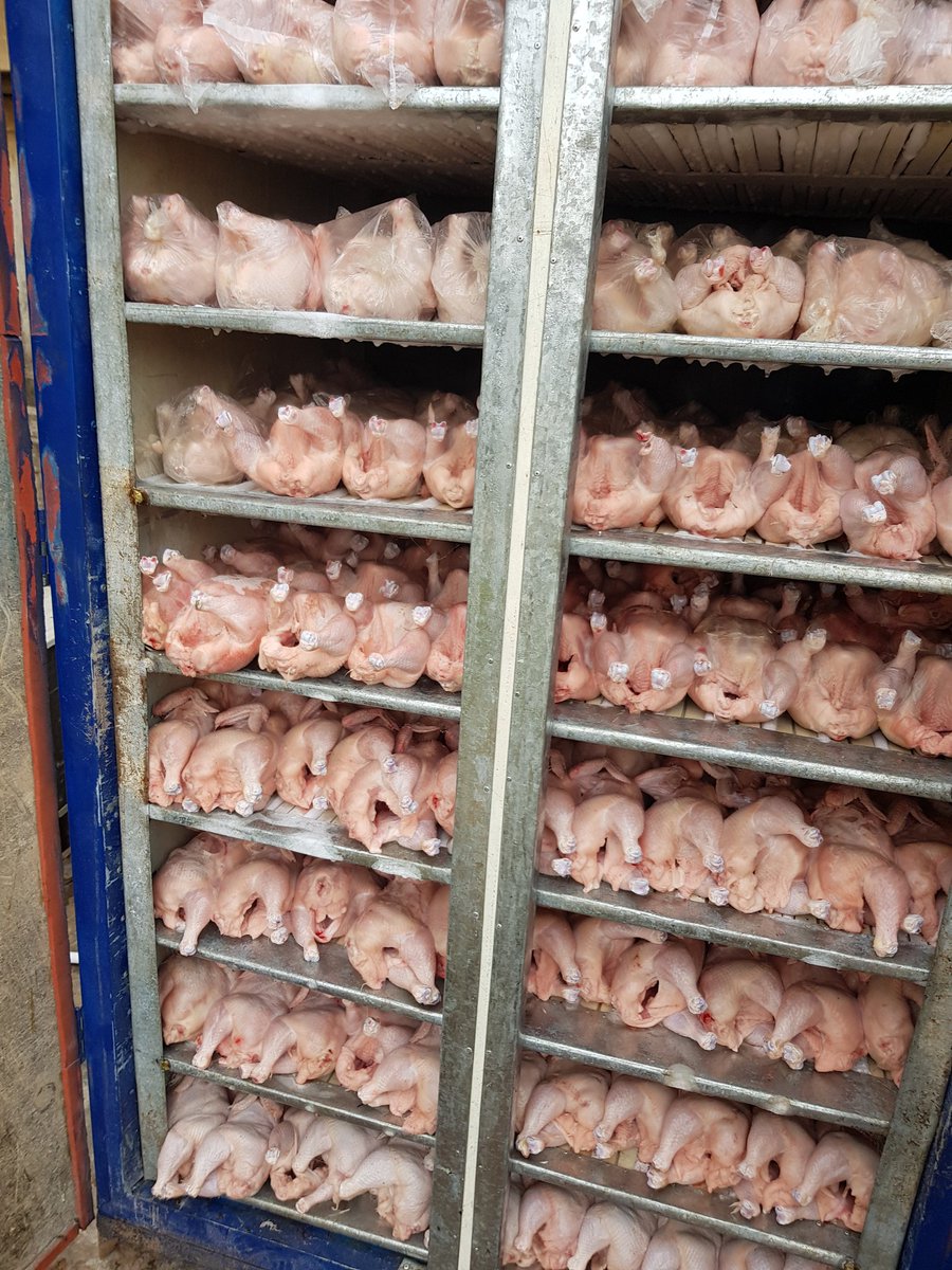 dofoodsng's tweet photo. 500kg of Frozen Chicken available for sale.

Price: 1300 per Kg

Location: Ibadan

Call: 07010828772

Please RT https://t.co/a4dcGnTjc1