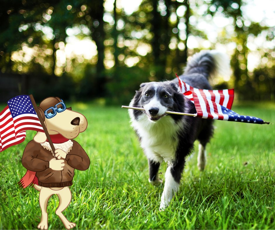 RealHound's tweet photo. Realhound CRM loves our veterans! Thank you for your service. We are the home of the free because of the brave. 
#veteransday2020
#CRM
#realestate
#seniorliving
https://t.co/q1EP2yTBUJ https://t.co/kKmbitmG27