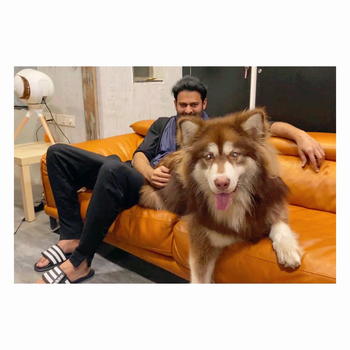 officialimran24's tweet photo. #18GloriousYearsOfPrabhas https://t.co/VSgpWFVUFP