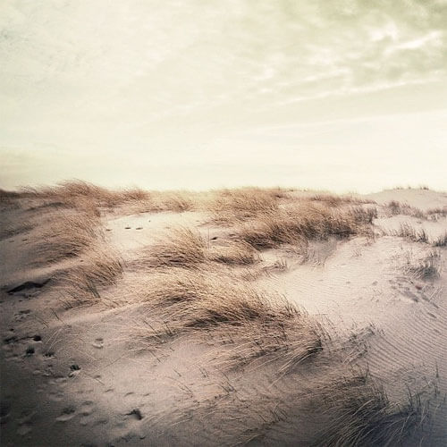 41) Claire Droppert.