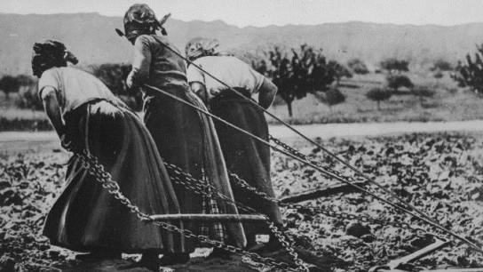 freresdarmes91's tweet photo. #11novembre 15 08 1914 : "Il faut sauvegarder votre subsistance, l’approvisionnement des populations (..) ceux qui défendent à la frontière, avec l’indépendance du pays, (..). Debout donc, femmes françaises, remplacez sur le champ du travail ceux qui sont sur les bataille (.)" https://t.co/fc60z0a2XP