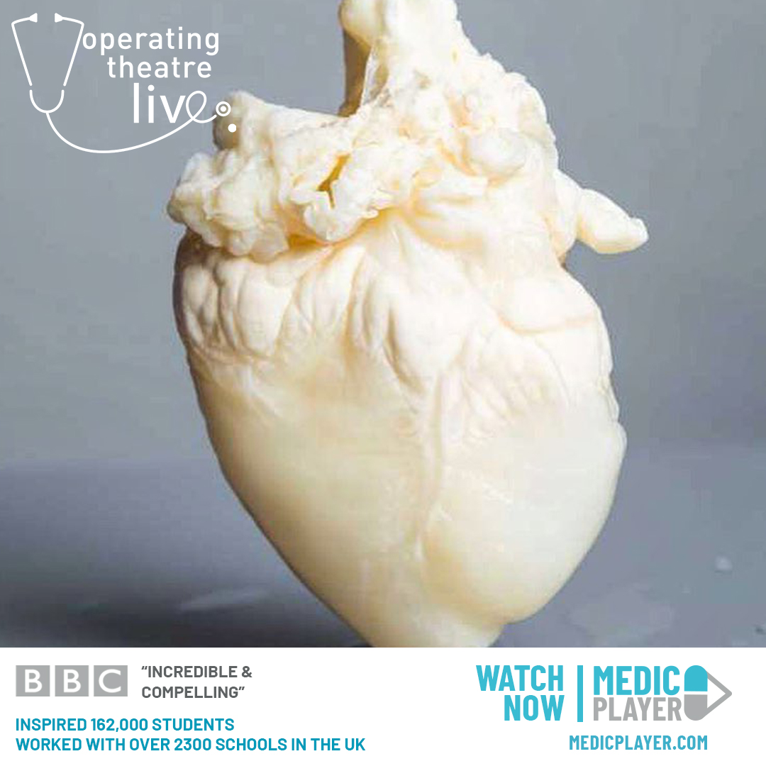 A ghost heart, or better yet, a decellularized heart! 🤍

This is the future of regenerative medicine.  😍

If you're interested in science and medicine, join us over on Medic Player as we take a journey into the human body like never before! 

WATCH NOW 
operatingtheatrelive.co.uk