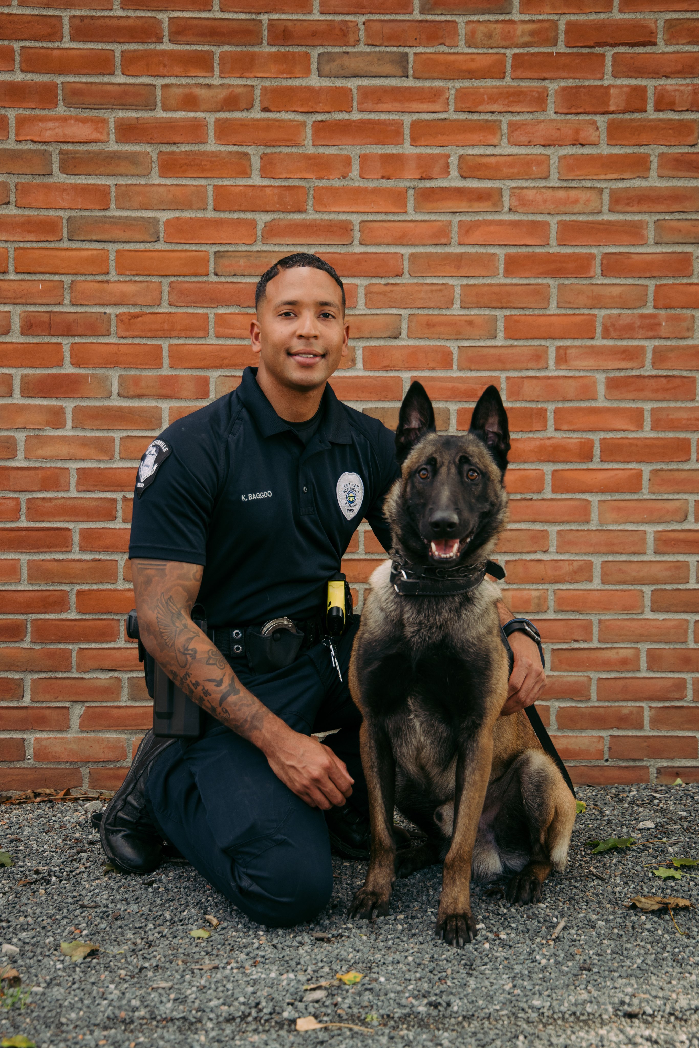 Westerville Police on X: Today, Bruno joins Officer Khyrell Baggoo as  Westerville's newest K9 team. Bruno is a 2-year old Belgian Malinois, he is  trained in tracking, area and article searches, criminal