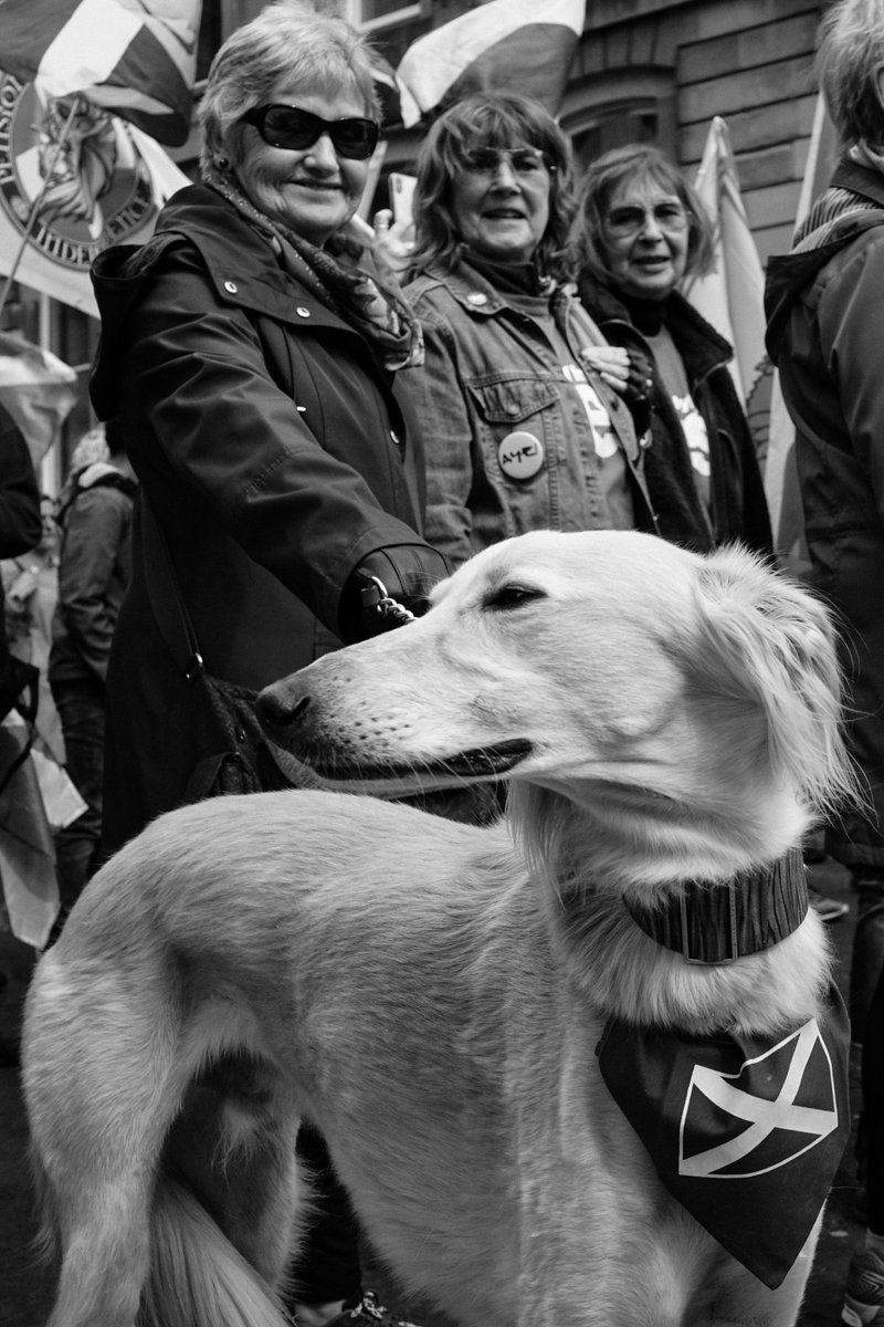 4/Idea is to take environmental portraits, ideally at a location saying something about who you are, possibly giving your lifestyle, career, interests, or how you conduct your activism a bit of context - a snapshot of your personality.