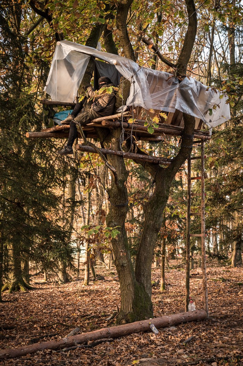 Ti_Wag's tweet photo. Im #DanniBleibt wurde heute das Baumhausbarrio "Durchzug" (das erste Barrio ausgehend vom Camp und Dannenrod) von der Polizei geräumt und abgerissen. #danni1111 So sah es gestern Morgen (#danni1011) noch aus: https://t.co/qWINUBtU0t