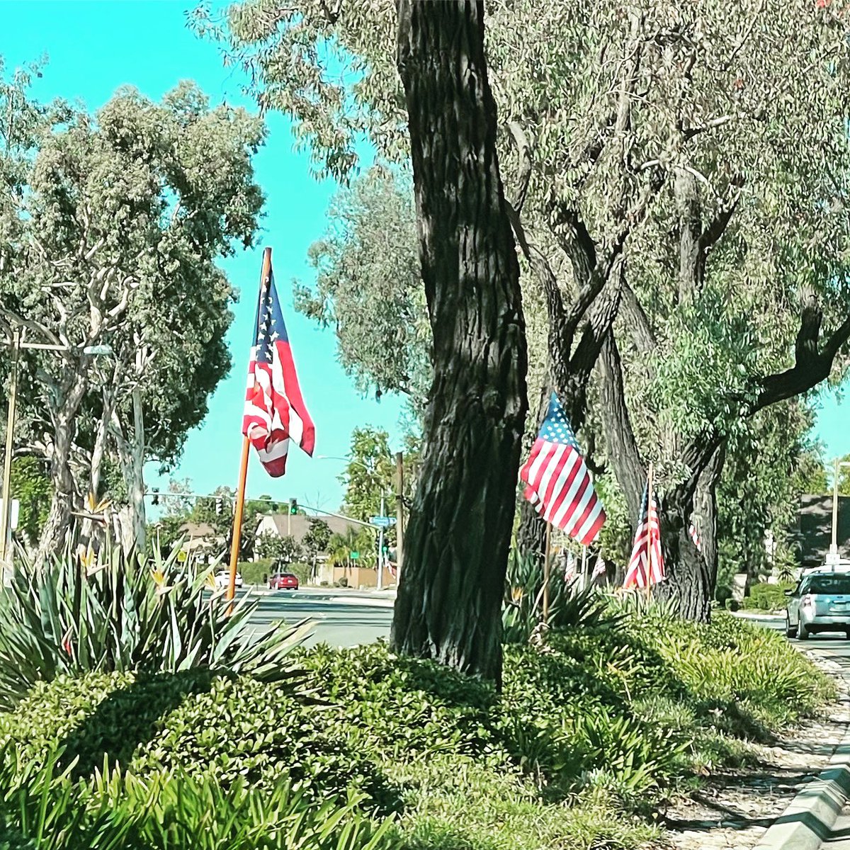 Happy Veterans Day! Thank you to all who have served our country!