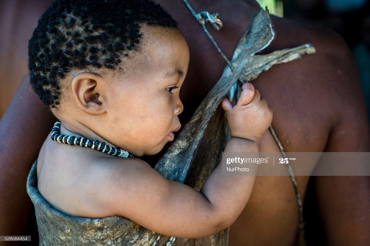 “Despite the overarching narrative of Africans as homogenously darkly pigmented... South African Khoi & San populations, have long been highlighted as an example of convergent evolution of lighter pigmentation in Africa.” – Tina Lasisi ( @TinaLasisi)  https://twitter.com/fake__monkey/status/1282434364077416456?s=20