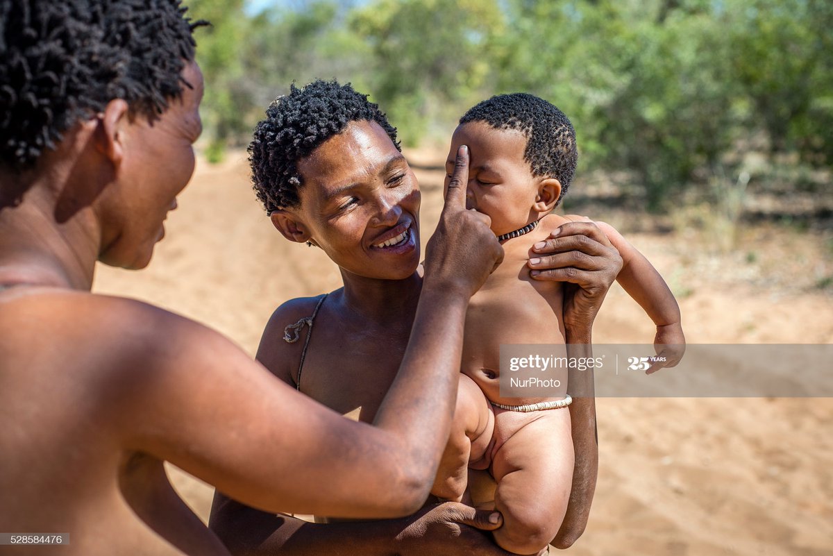 “Despite the overarching narrative of Africans as homogenously darkly pigmented... South African Khoi & San populations, have long been highlighted as an example of convergent evolution of lighter pigmentation in Africa.” – Tina Lasisi ( @TinaLasisi)  https://twitter.com/fake__monkey/status/1282434364077416456?s=20