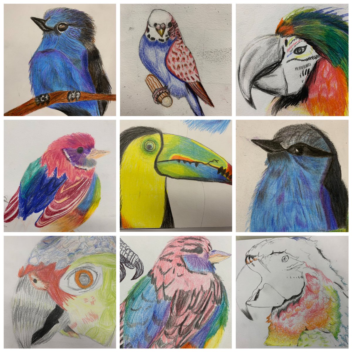 LouiseClazey's tweet photo. Our Y9 handmade concertina bird sketchbooks are looking brilliant! Looking forward to moving on to artist research and painting techniques next. https://t.co/6t0n1XTm2M