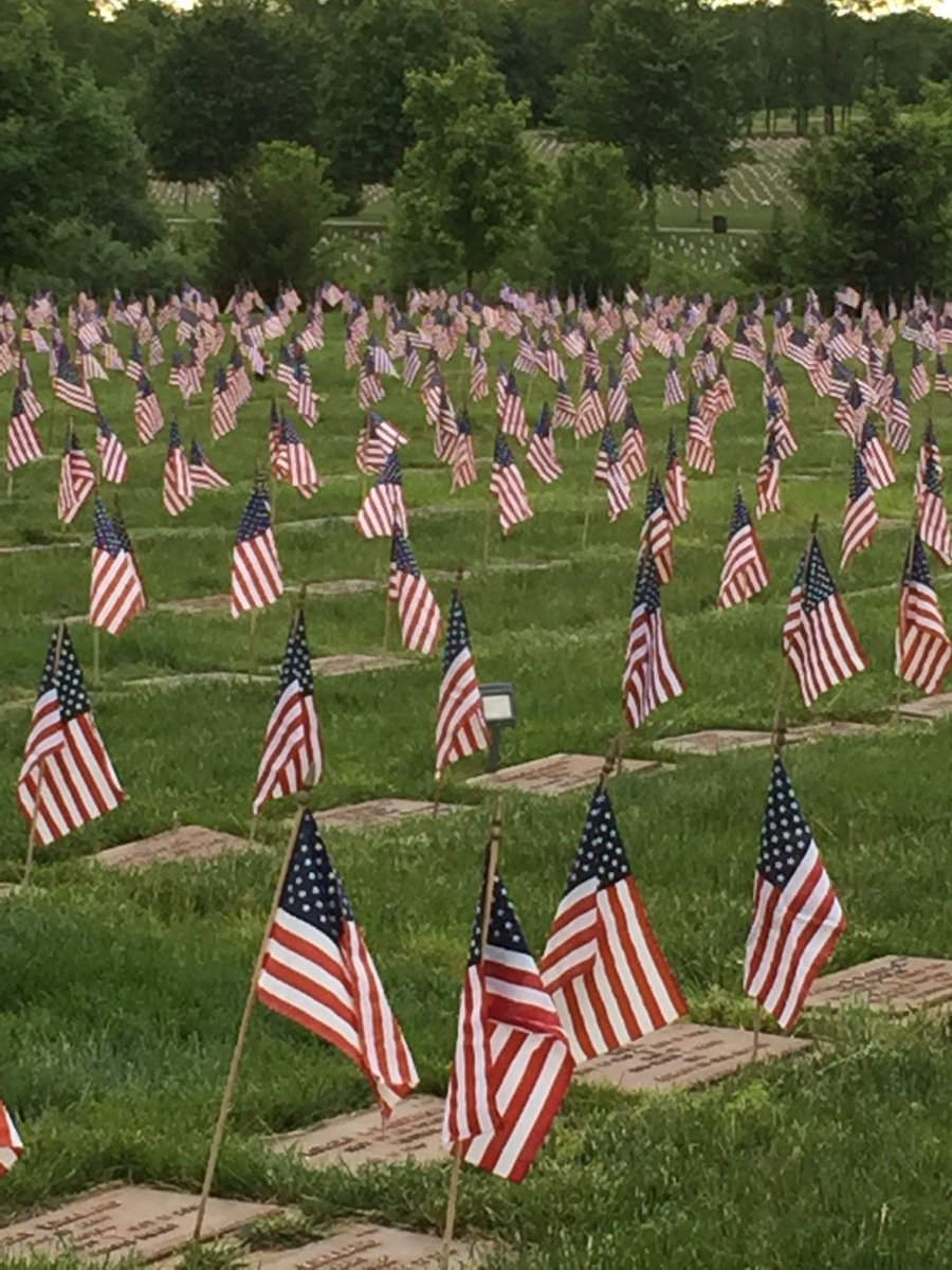 plum4science's tweet photo. Veterans Day...a time to show gratitude to those who have served to protect our freedoms. https://t.co/i1BrDC6gED