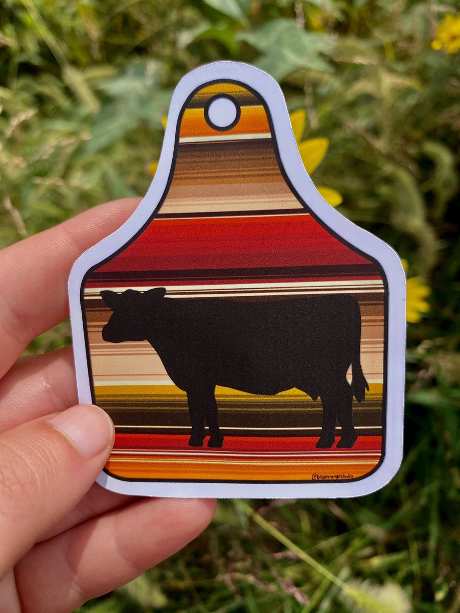 Bison Range Studio tweet media