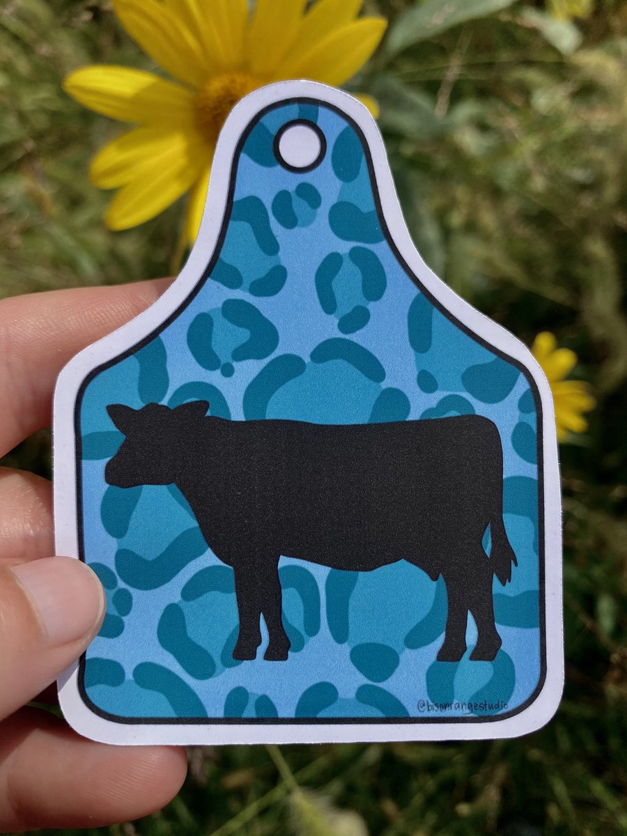 Bison Range Studio tweet media