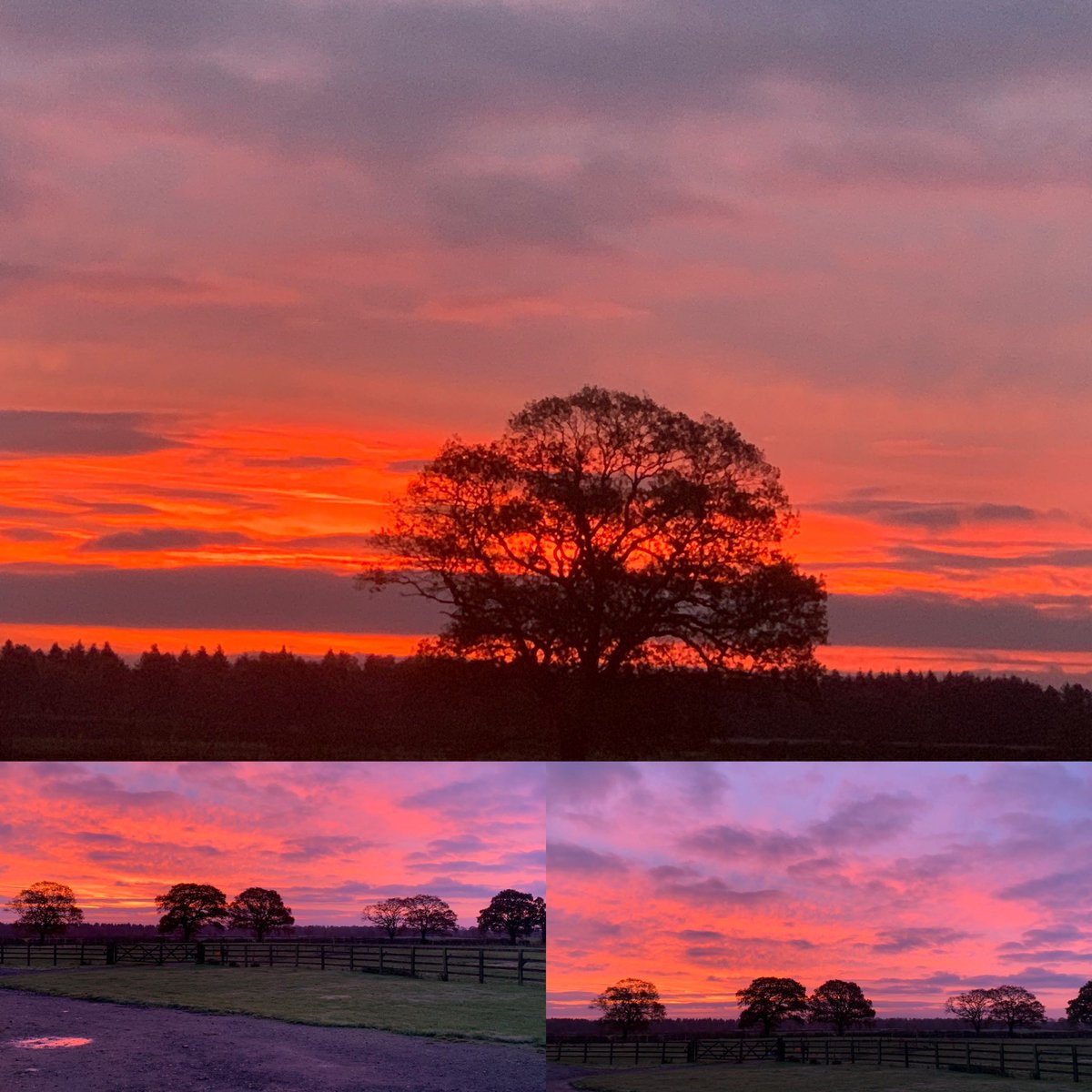 Early start great view #saddlefitting #yorkshire #nofilterneeded #saddles #nysfitter #officeview