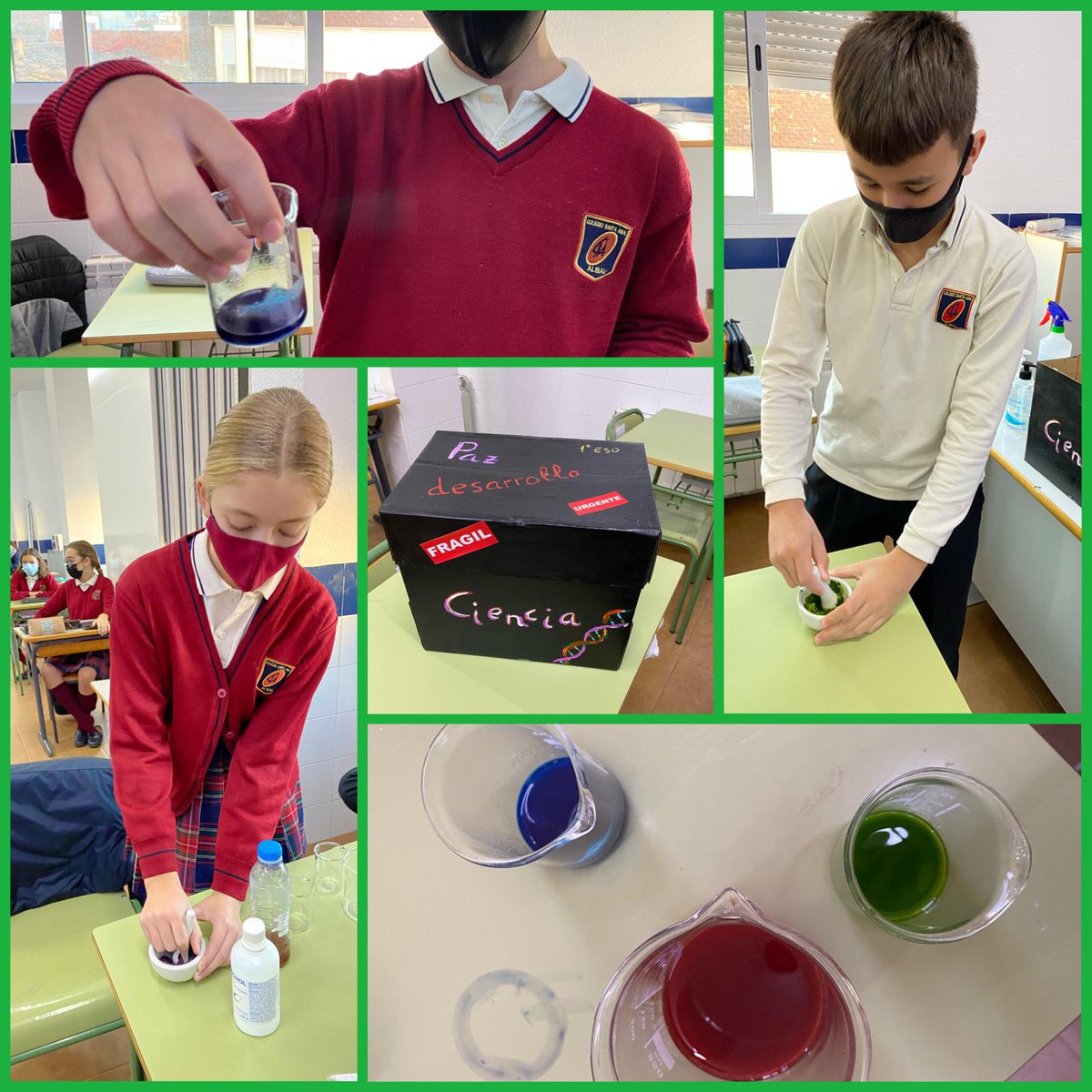 santaanaalbal's tweet photo. Extracción de pigmentos vegetales en 1°ESO, celebrando el el #DiaMundialDeLaCiencia #DiaMundialDeLaCienciaParaLaPaz #ScienceDay #CienciaPazDesarrollo #ScienceDay2020 #ConCiencia2020 @UNESCO_es https://t.co/EYNeydc5H0