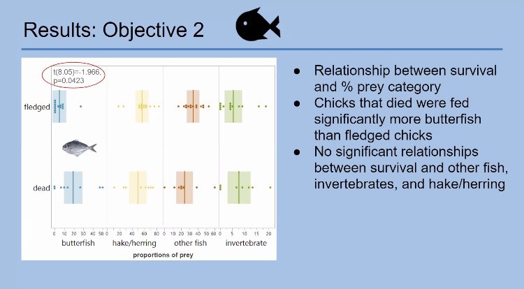 Olivia Smith just finished presenting a phenomenal talk on the increase of butterfish in #tern diets in the Gulf of Maine. 

Chicks that died were fed significantly more butterfish, which was not the case for any other fish. #WBSvirtual2020