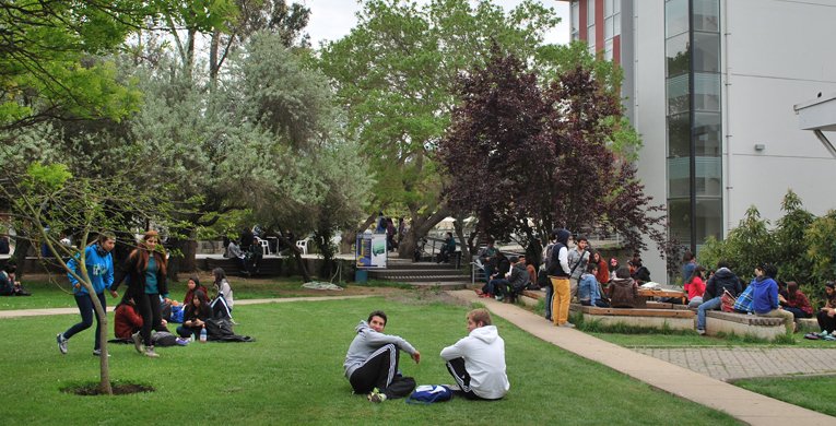 Postgrados Chile tweet media