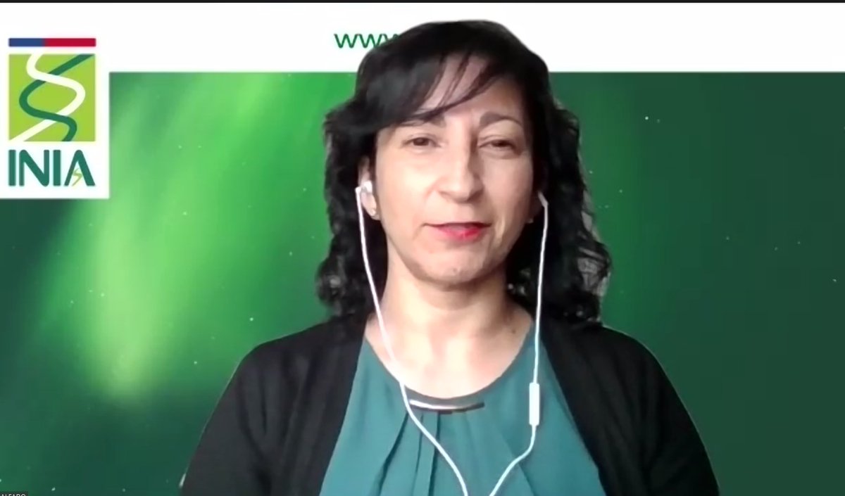 iniachile's tweet photo. Nuestra Subdirectora Nacional de I+D+i, @Marta_Alfaro_V , exponidiendo en el XLV Congreso Anual de SOCHIPA sobre “Intensificación sostenible de la ganadería, un desafío factible con I+D+i"
🔴En vivo https://t.co/GQklgSMZn7 https://t.co/O5S8o2p15o
