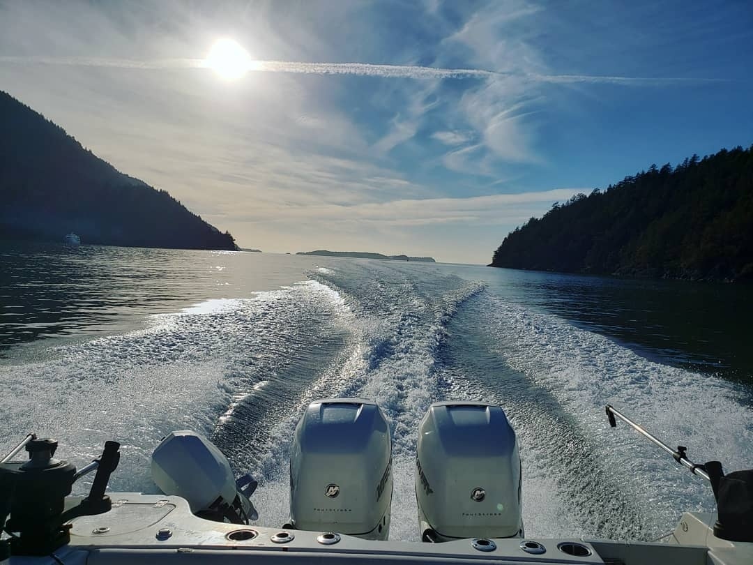 Watermark Fishing Charters reports Herring Aid, Outfitter/Homeland Security, Trailhead and Irish Cream  in  3" G-Force and Kingfisher Spoons trailed behind  Blue, Green and Raspberry Watermark Flashers to be a hot commodity in local Vancouver waters as of late.