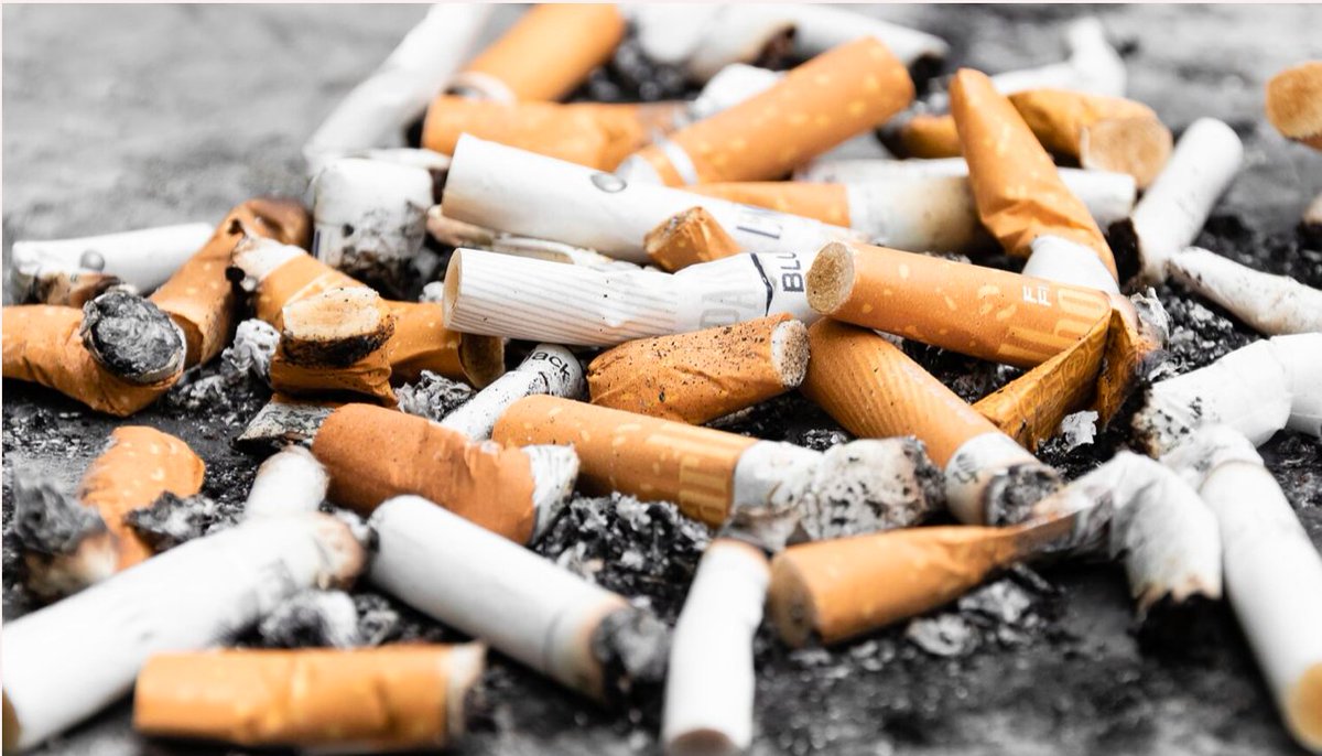 BeyondGenes's tweet photo. Session 4 coming up on November 20: Heritable Impacts of Tobacco, Cannabis, and Related Products. PLUS Session 1-3 recordings. And NEW! #BeyondGenes Holiday Hangouts (these will fill up fast). Learn more at https://t.co/80ENwlnE7k. - https://t.co/UejX5KZUXS https://t.co/VyTQKBhhRQ