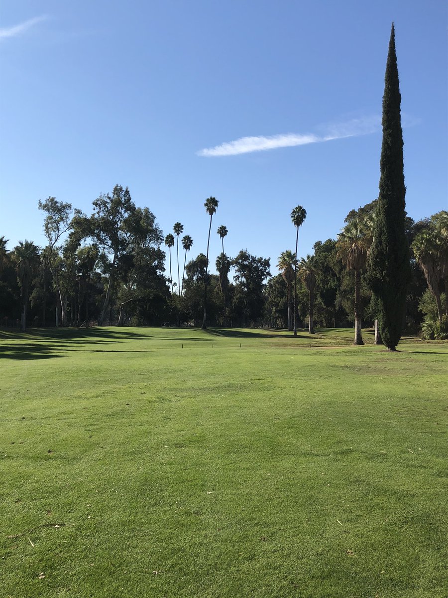 jmartinez727's tweet photo. Grateful for morning golf and an afternoon run. ๐๐ผโโ๏ธ๐๐ปโโ๏ธ ๐
#RascalSelfCare ๐ฆ๐พ
#GratitudeSnaps
#SpareAKidney?
https://t.co/IJeEA9J60n https://t.co/02kYkPn7k6