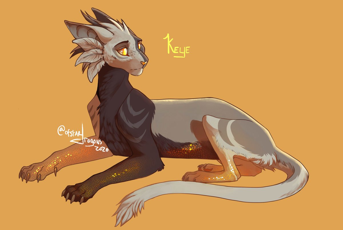ofStarDragons's tweet photo. a 'cat' called keye https://t.co/i2cE3Fq5O6