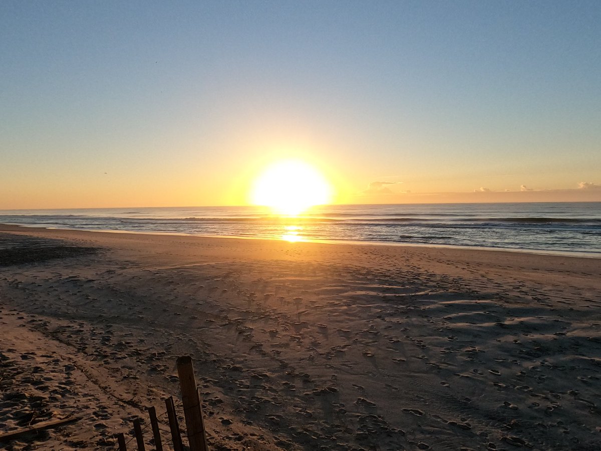 MoveSeals's tweet photo. Check out the latest Seals on the Move episode! https://t.co/H8SaMsDABM Alex and Rozie are at @NorthTopsail &amp; Surf City, NC. They try @FracturedPrune donuts, pet a stingray named #Pancake and see a beach #sunrise! #aquarium #beachlife #Travel #donutday #donutweek https://t.co/DEWW9FJ9DL