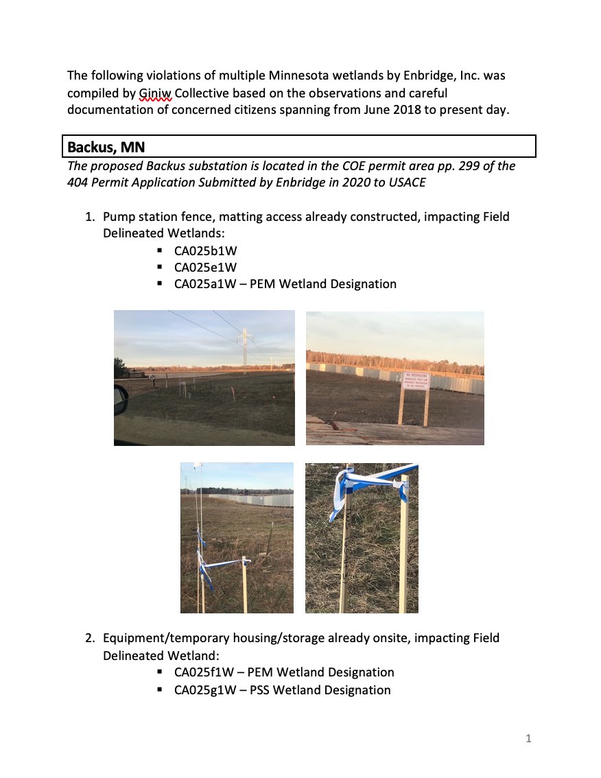 giniw collective tweet media