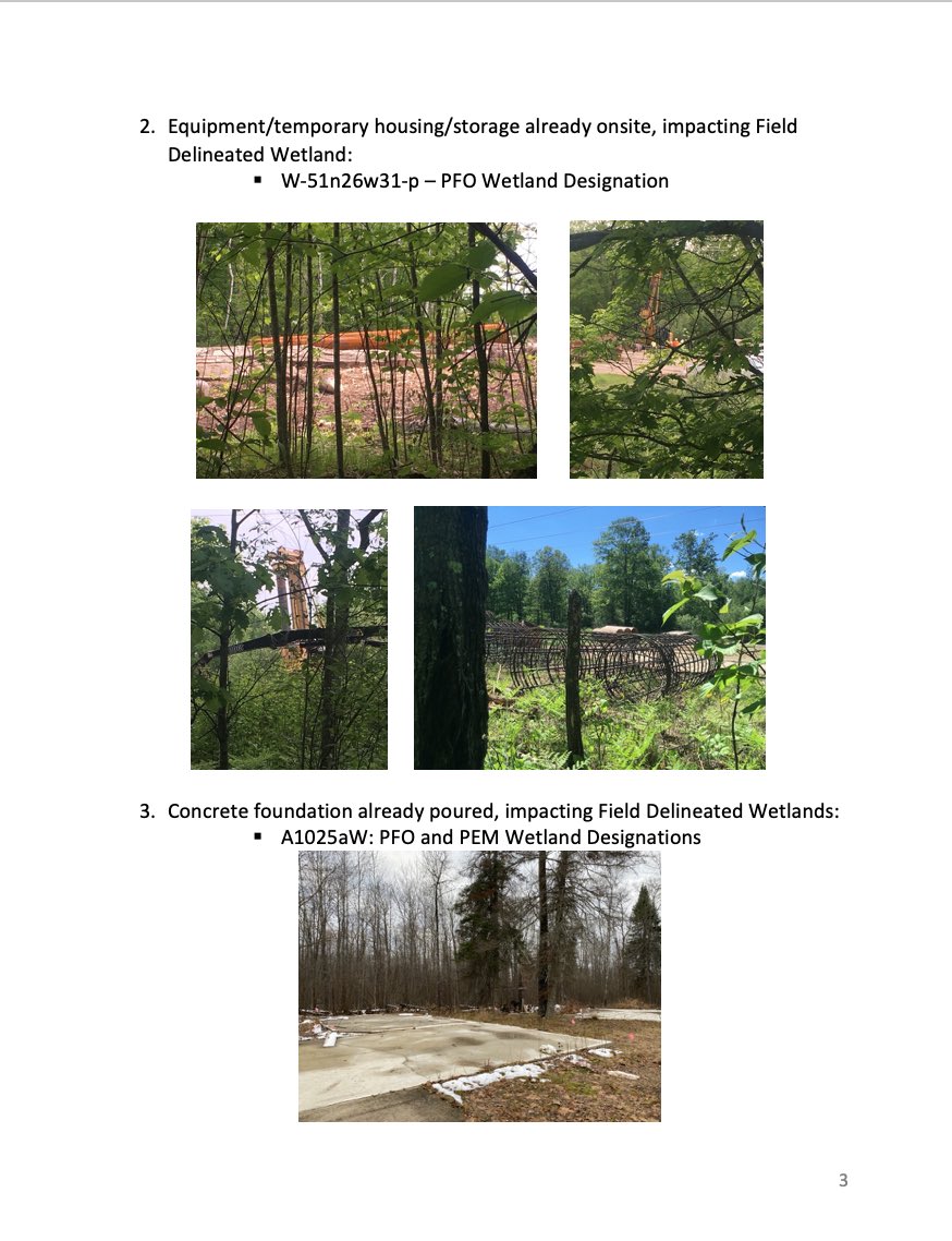 giniw collective tweet media